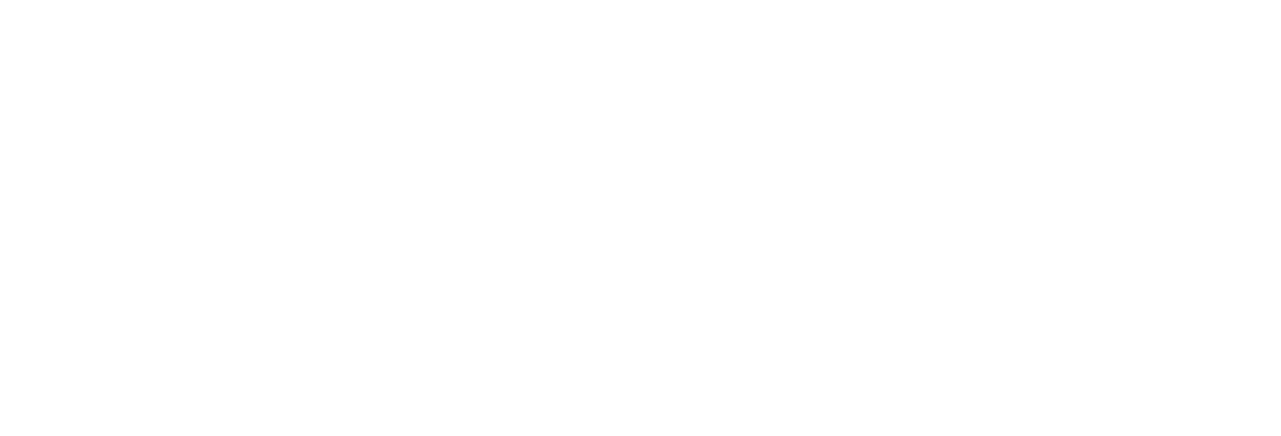 LOGO NEXUMIA BLANCO