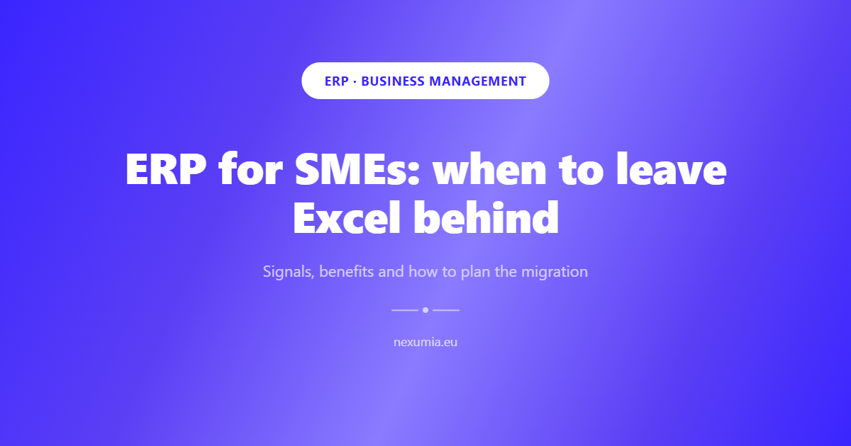 Cover image for the article: ERP for SMEs: when to leave Excel behind